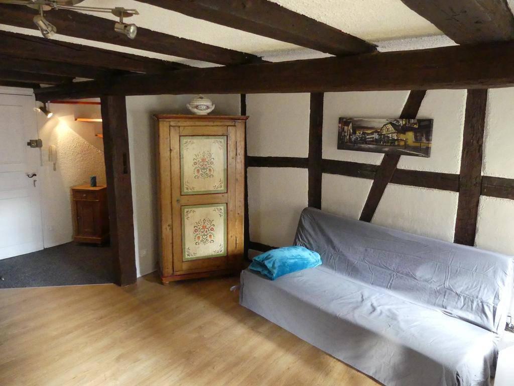 Appart Chaleureux Colmar Dış mekan fotoğraf